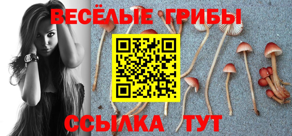 Псилоцибиновые грибы GOLDEN TEACHER Елизово
